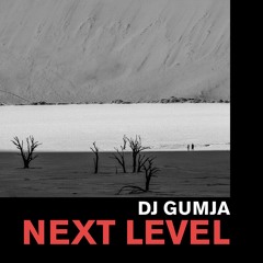 Next Level (Original Mix)