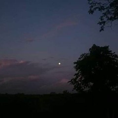 عبدالرحمن مسعد سورة الكوثر