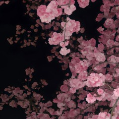 cherry blossom <{prod. 1jowisen x prodalvin}>