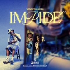 IMPIDE