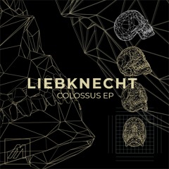 Liebknecht - Voula [MTROND009]