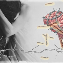 Torments of Lyme
