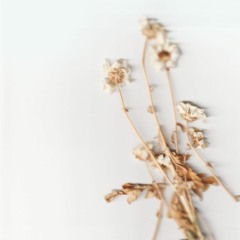 summer is over (danceable emo mixtape)