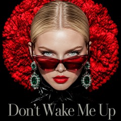 Don't Wake Me Up
