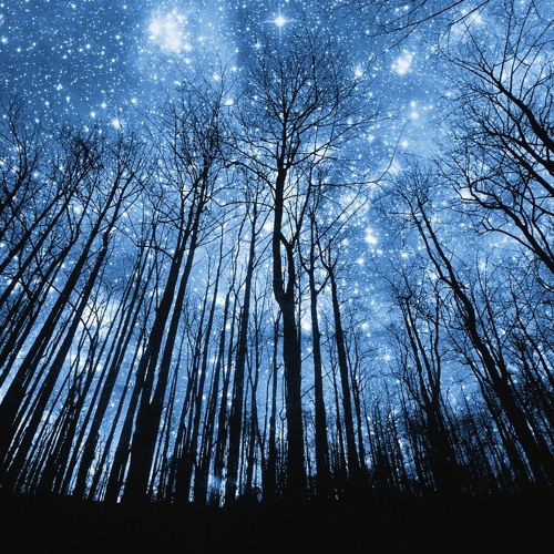 Vinicius Castilho Relax Session 002