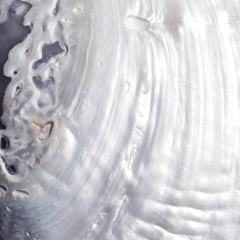 fairy therapy - Siren