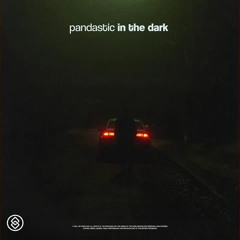 Pandastic - In The Dark
