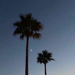 marchii - потерял