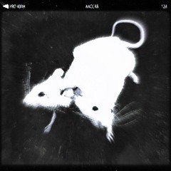 ØSCILLATE X FILO - GREGOROWA VIESKA