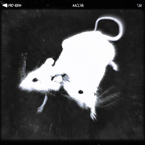 CHRAN X FILO - GREGOROWA VIESKA | FREE DL |