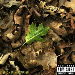 Turn a New Leaf - Big D BRB