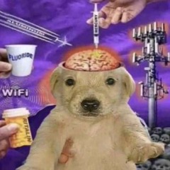 TOOLA ft. Khaosxxl - GO