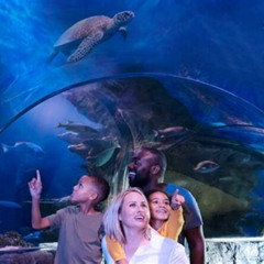 Review Special Price Sea Life Aquarium Grapevine Admission Ticket