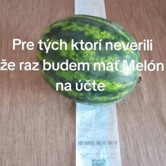 vsechno mozny i nemozny