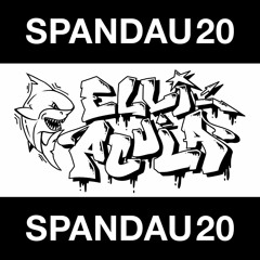 SPND20 Mixtape by Elli Acula