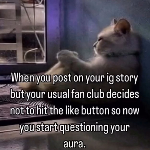 edit audios that make me feel like a celebrity (+ timestamps in description)