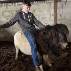 proud to be a traveller🤠