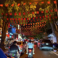 nỗi-đau-giữa-hòa-bình  (duy bin)