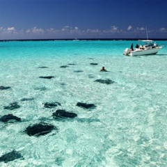 Review Special Price Stingray City Antigua
