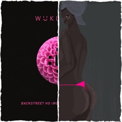 Backstreet Ho (Wuki and Frac Attack Edit)vs. I Love It - [RMJS Mashup]