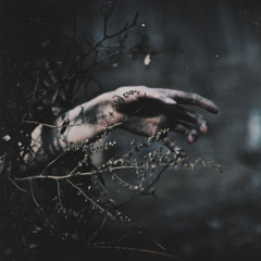 Alexey Volkov - Spirals