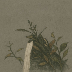 Двухминутная готовность