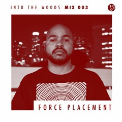 ITW003 - Force Placement