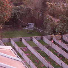 In Situ