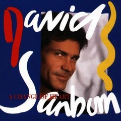 David Sanborn, Straight To The Heart Full Album Zip [UPDATED]