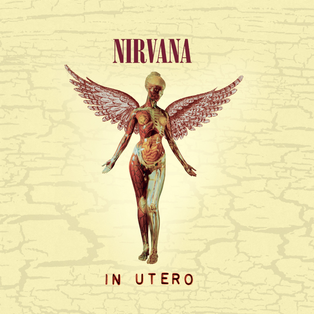 アート・デザイン・音楽 NIRVANA THE ALBUMS Nirvana: The Albums: Nirvana: 9780571528691: Amazon.com: Books