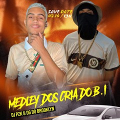 MEDLEY DOS CRIA DO B.I - (DJ PZK & DG DO BROOKLYN)