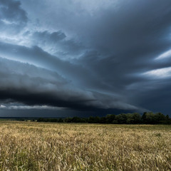 MKH8020_vs_Lewitts540s_Thunderstorm