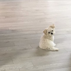 이젠 어떻게 내 맘 표현해야 하나