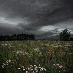 Signs Of Solitude