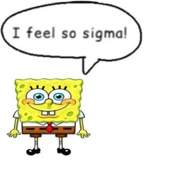 skibidi 🗣️💯🔥