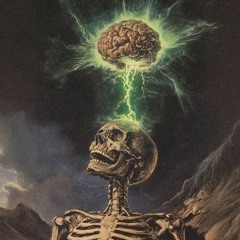 Mehr Dezibel als IQ ( Deanø Set)