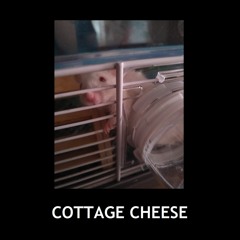 Blah - Cottage Cheese