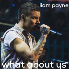 Liam Payne - What About Us Cover