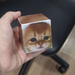 faackyuw ¯\(°_o)/¯ [t57thetank] #digicore