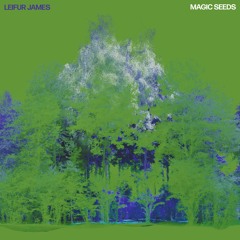 Leifur James - Magic Seeds