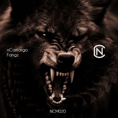 02 - nCamargo - Run It - Clip (Out Now)