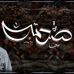 صدمة | سير (SADMA)