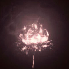 not right (feat valious)