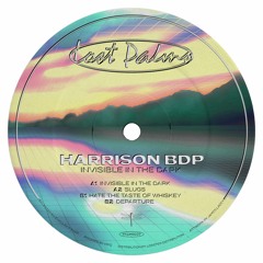 PREMIERE: Harrison BDP - Departure [Lost Palms]