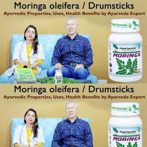 Stream Moringa Oleifera Drumsticks Tree Ayurvedic Properties, Uses, Health Benefits By