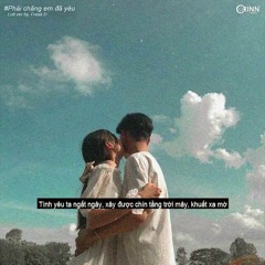 Phải Chăng Em Đã Yêu (Lofi Ver.) - Juky San X RedT X Freak D