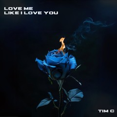 Love Me Like I Love You