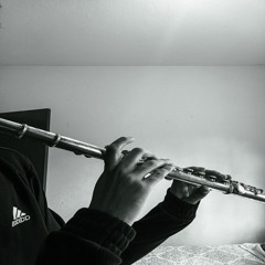 Flute Melody (Live)
