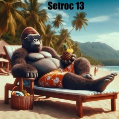 JUNIO 2025 SETROC 13