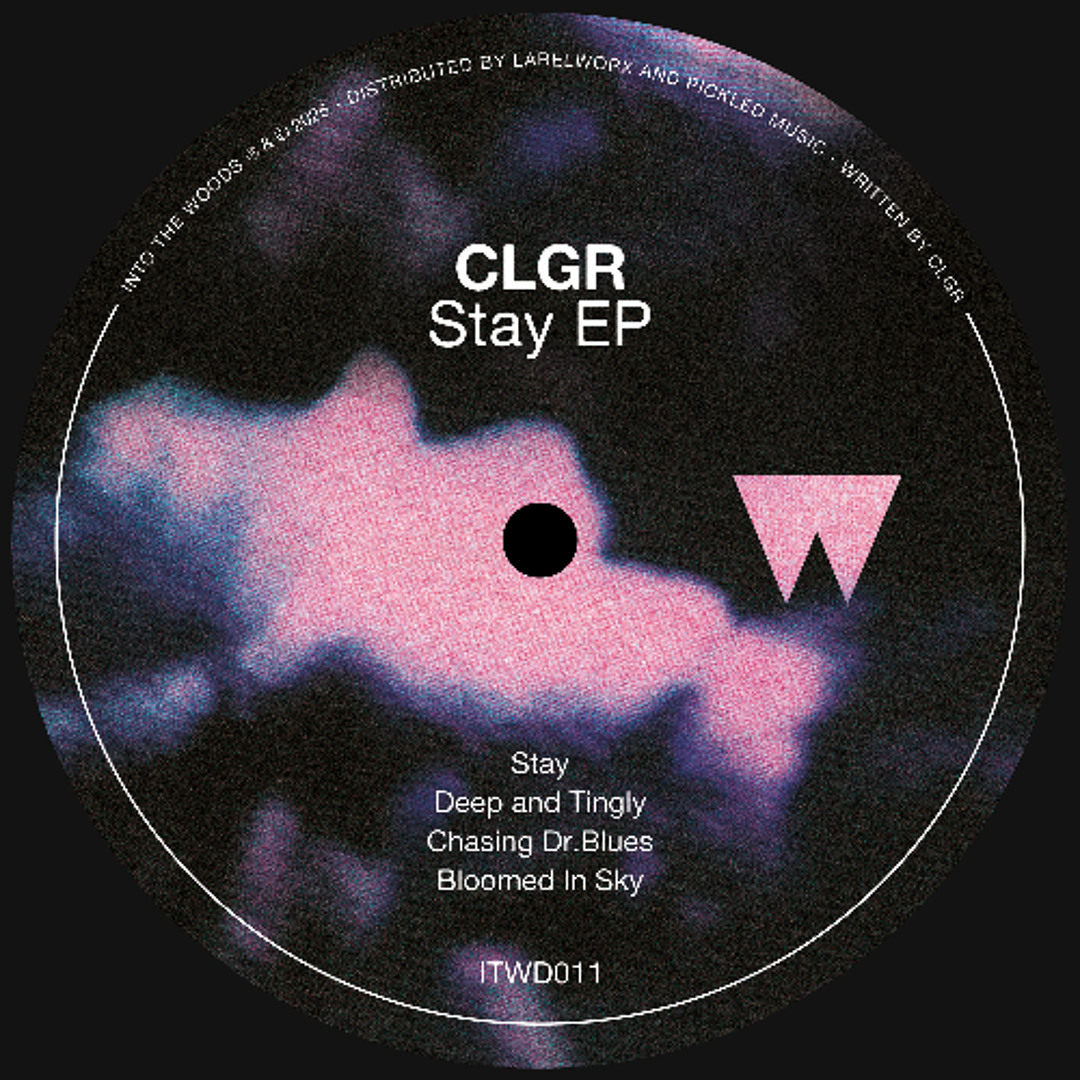 Stream CLGR - Stay by INTO THE WOODS MUSIC | Listen online for free on ...